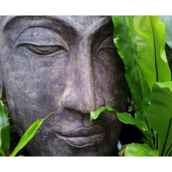 The Austin Alchemist Media Company offers body mind spirit news resources and events - buddha-statue-zen