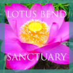 Lotus Bend Sanctuary - Manchaca Texas Austin - Yoga Meditation Event Center And Day Retreat
